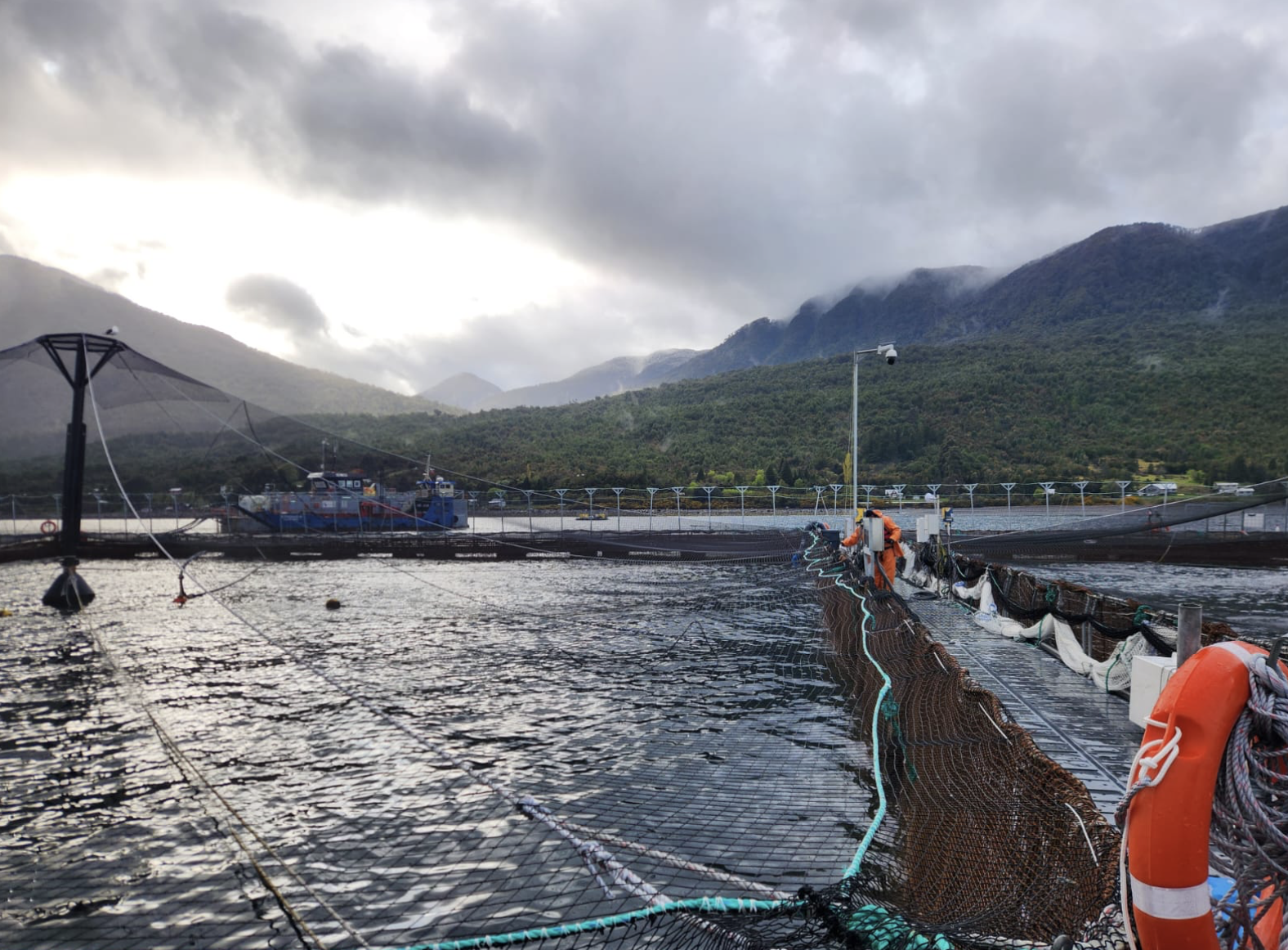 upwelling aquaculture